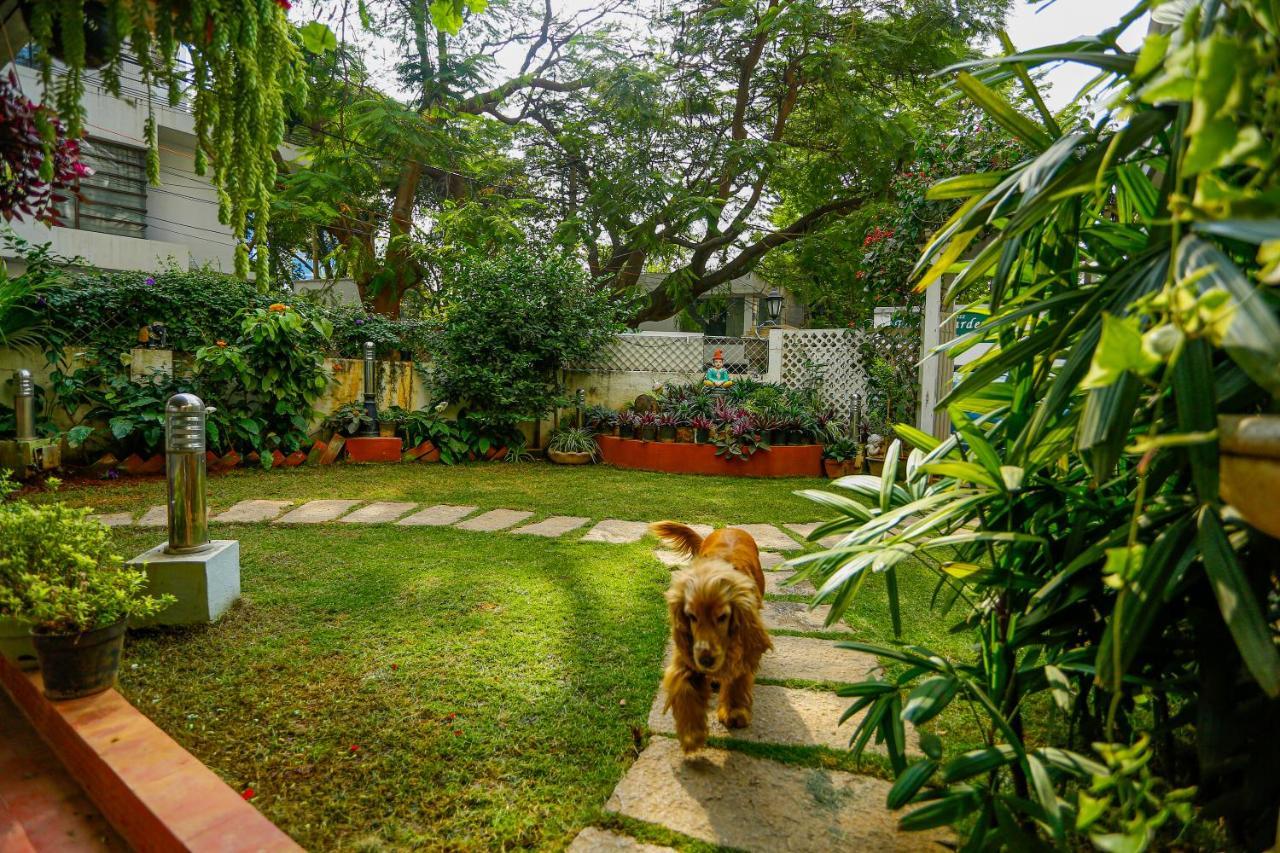 Terrace Gardens Bed and Breakfast Bangalore Exteriör bild